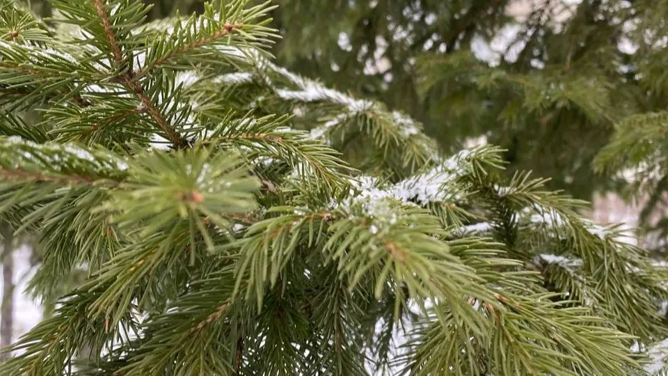 Фото: REGIONS/Мария Толстикова