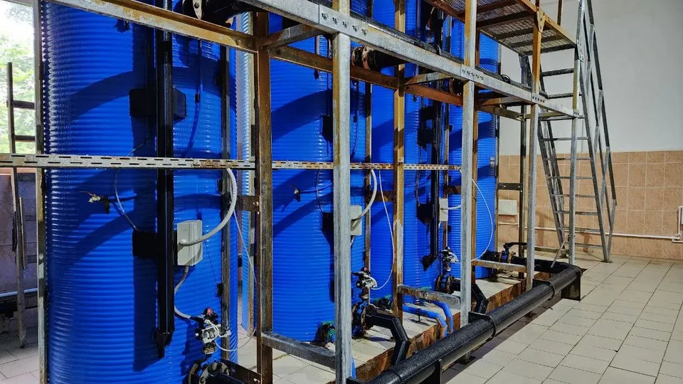 Фото: МедиаБанк Подмосковья/Валерия Тингаева