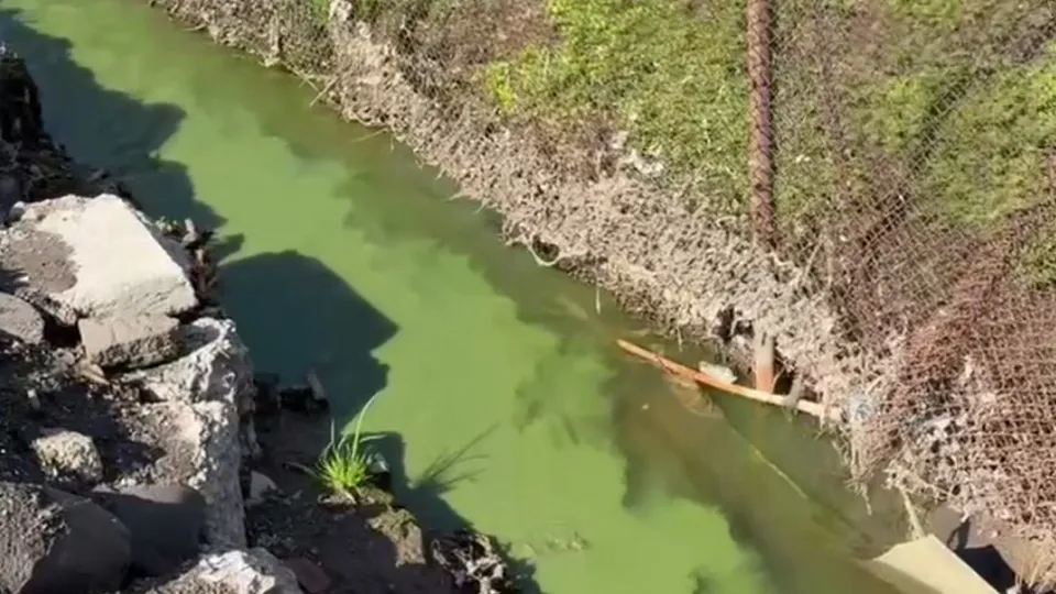 Фото: управление экологии городского округа Мытищи
