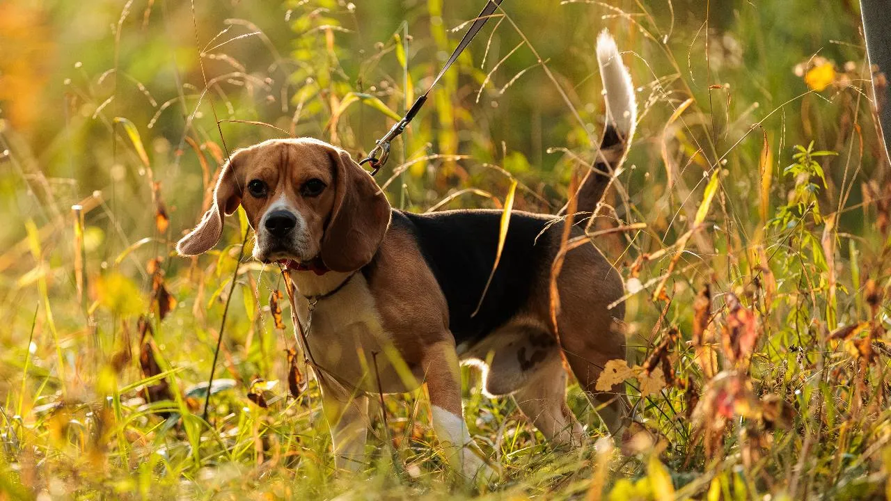 медиасток.рф