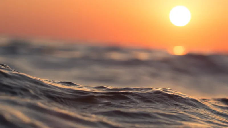 Над акваторией Черного моря заметили разведывательный самолет НАТО  