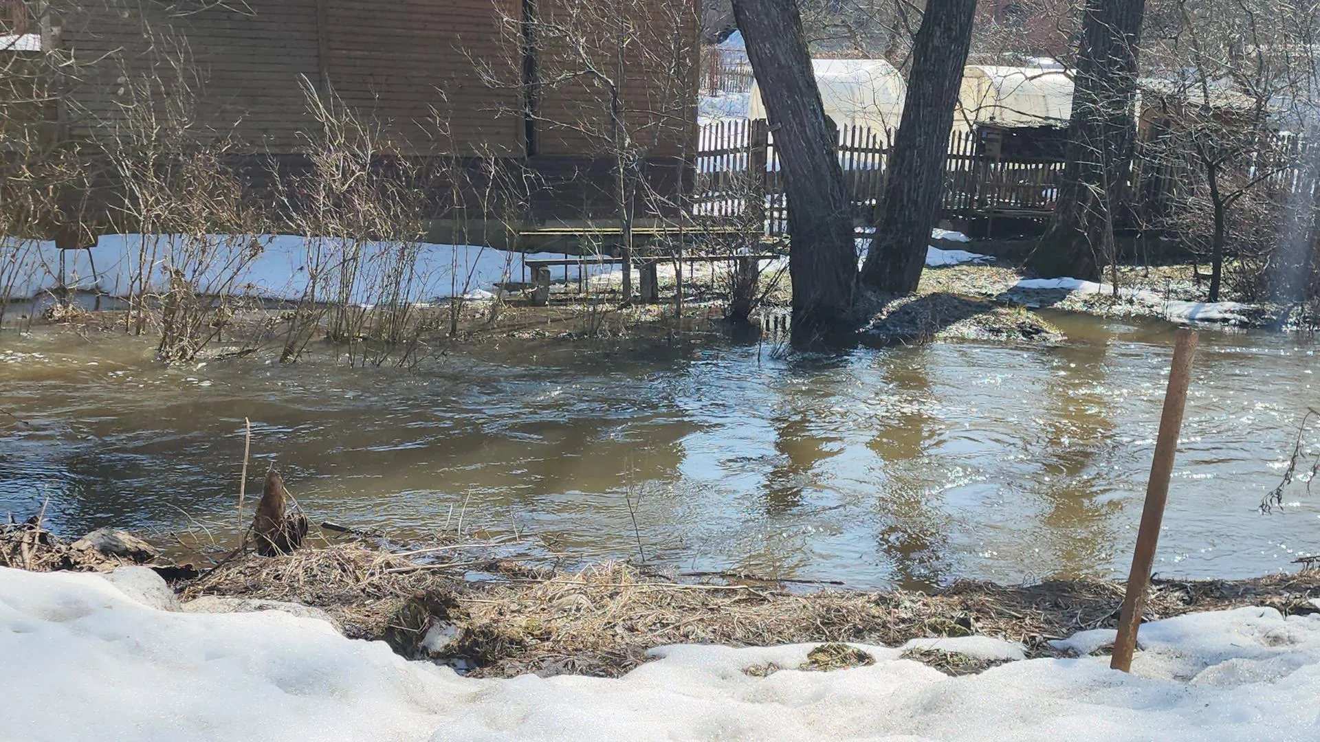 МедиаБанк Подмосковья/Екатерина Морозова