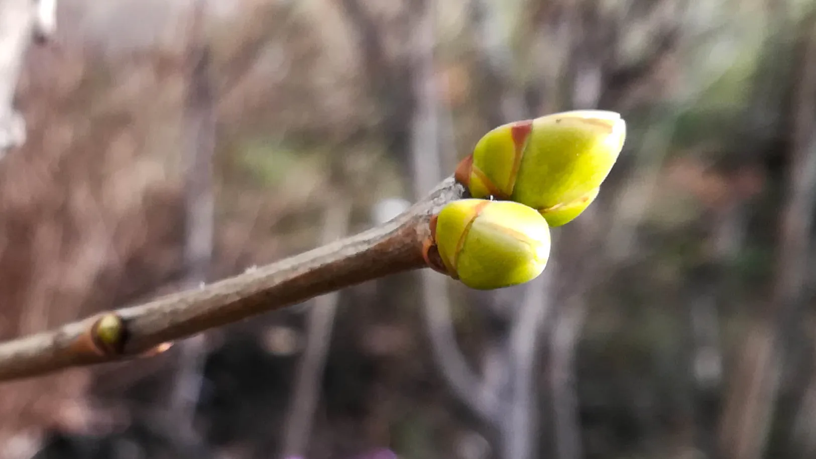 Фото: Дмитрий Кравцов