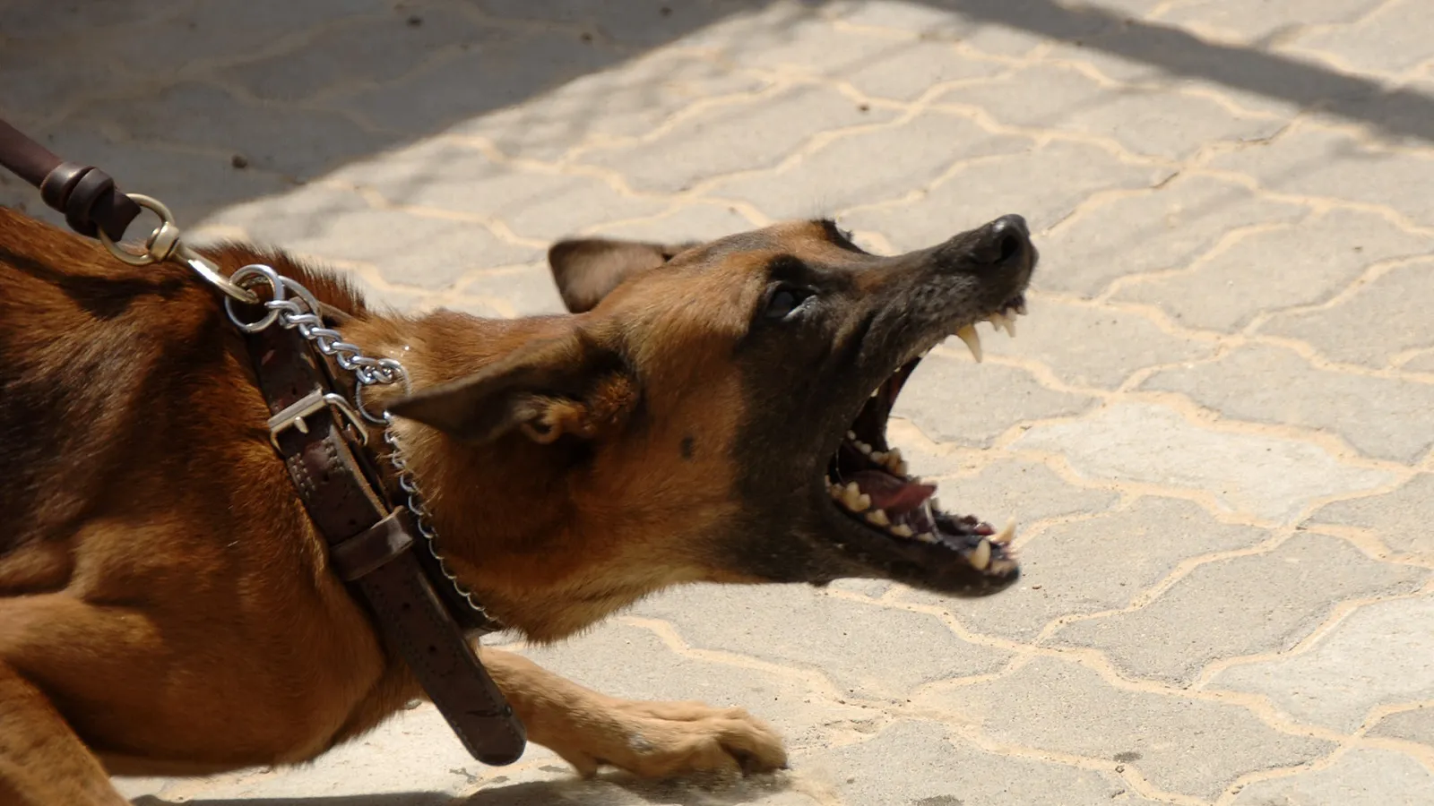 Фото: pxhere.com.