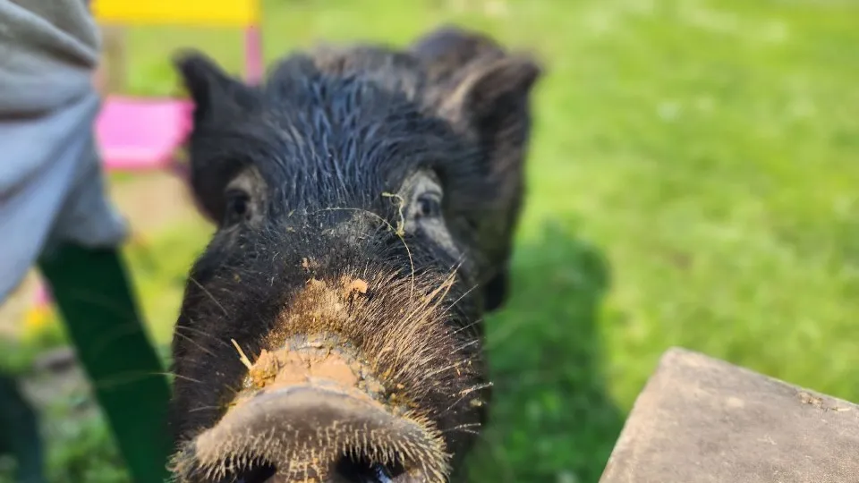 Фото: Елена Шумакова