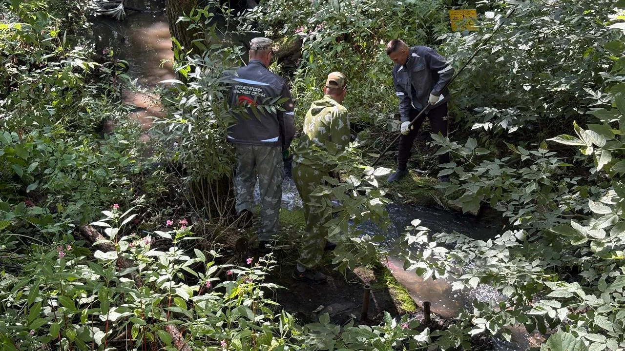 Фото: пресс-служба администрации г.о. Красногорск