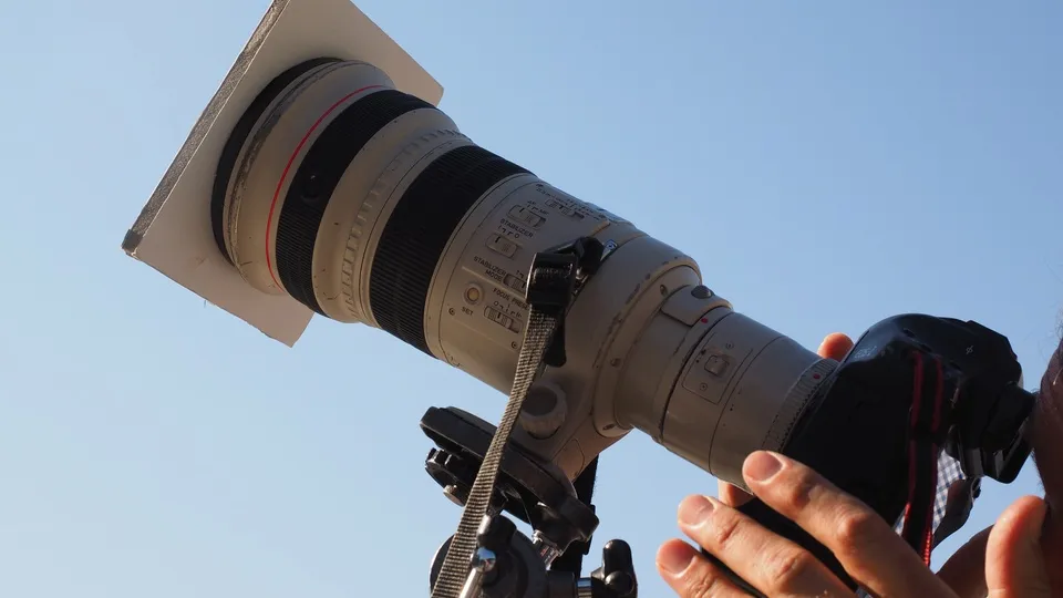 Фото: pxhere.com