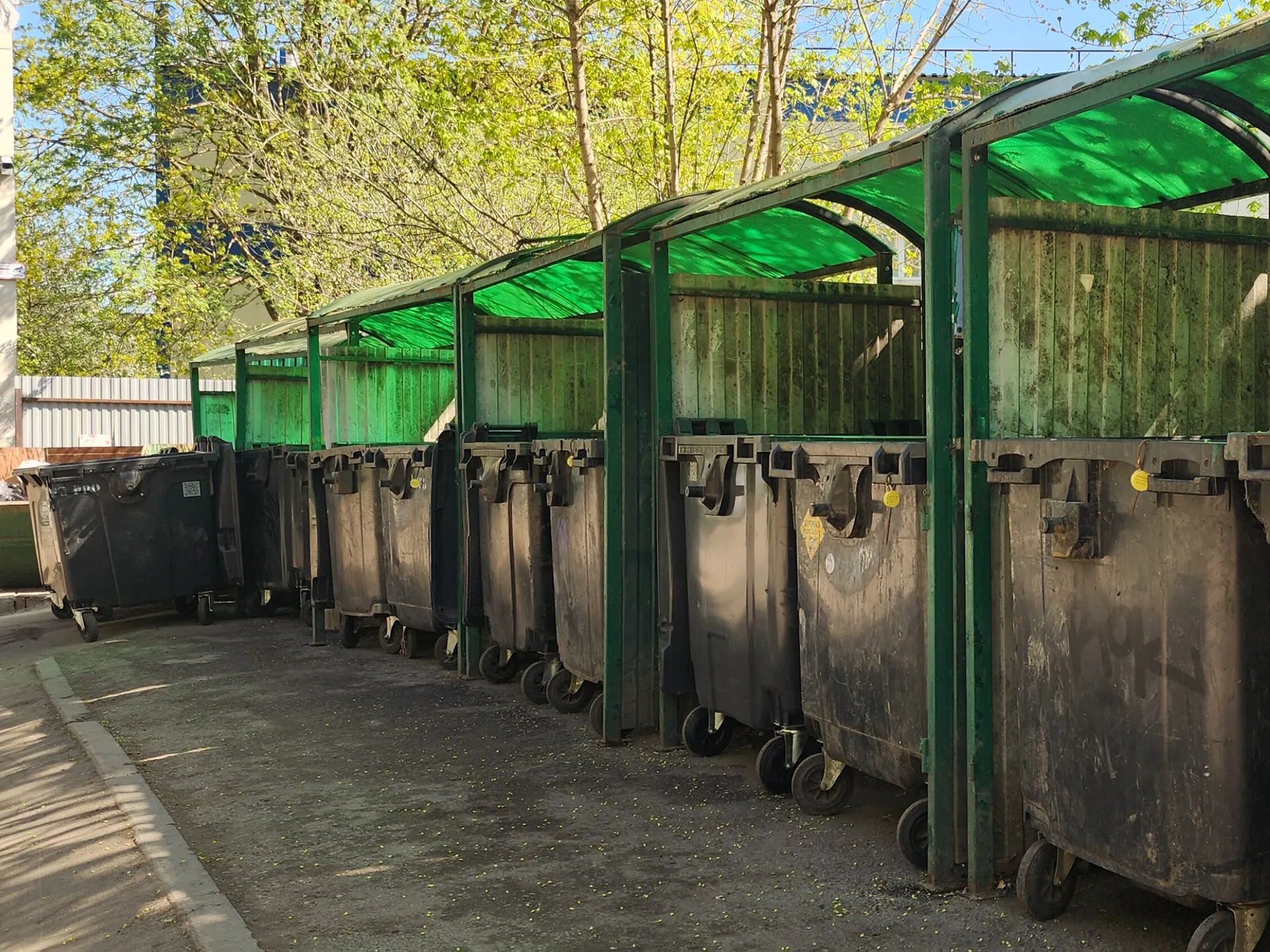 Фото: Фонина Хавива