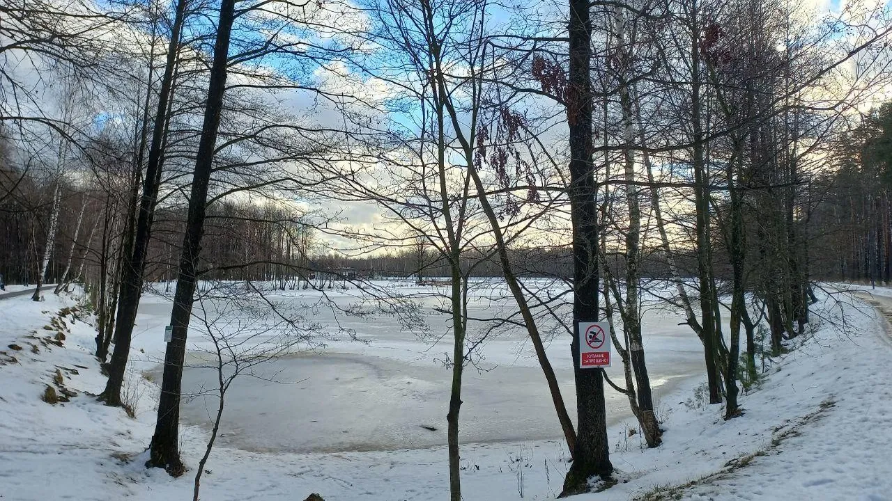 REGIONS/Олег Книжник