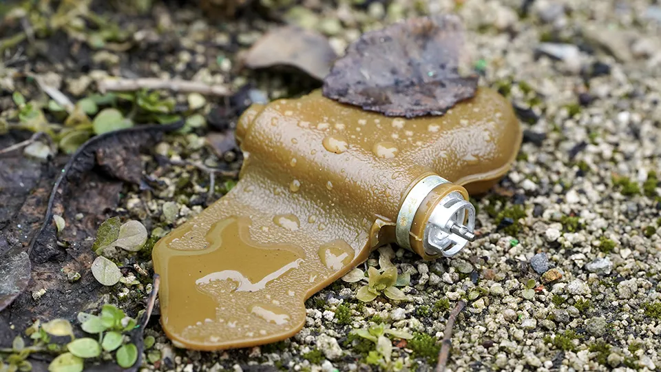 Фото: ТАСС/Николай Тришин