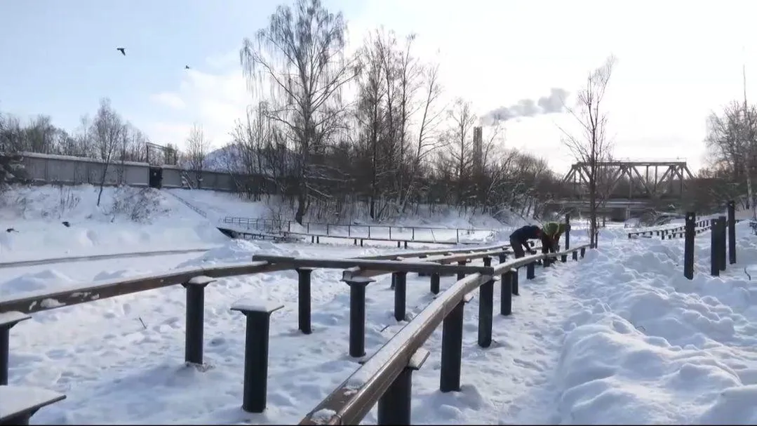 Фото: Пресс-служба Администрации г.о. Пушкинский