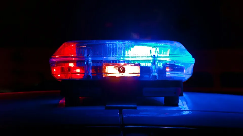 Фото: unsplash.com