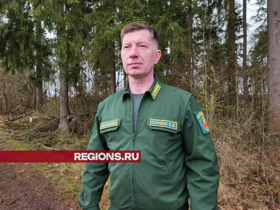 Фото: Хавива Фонина