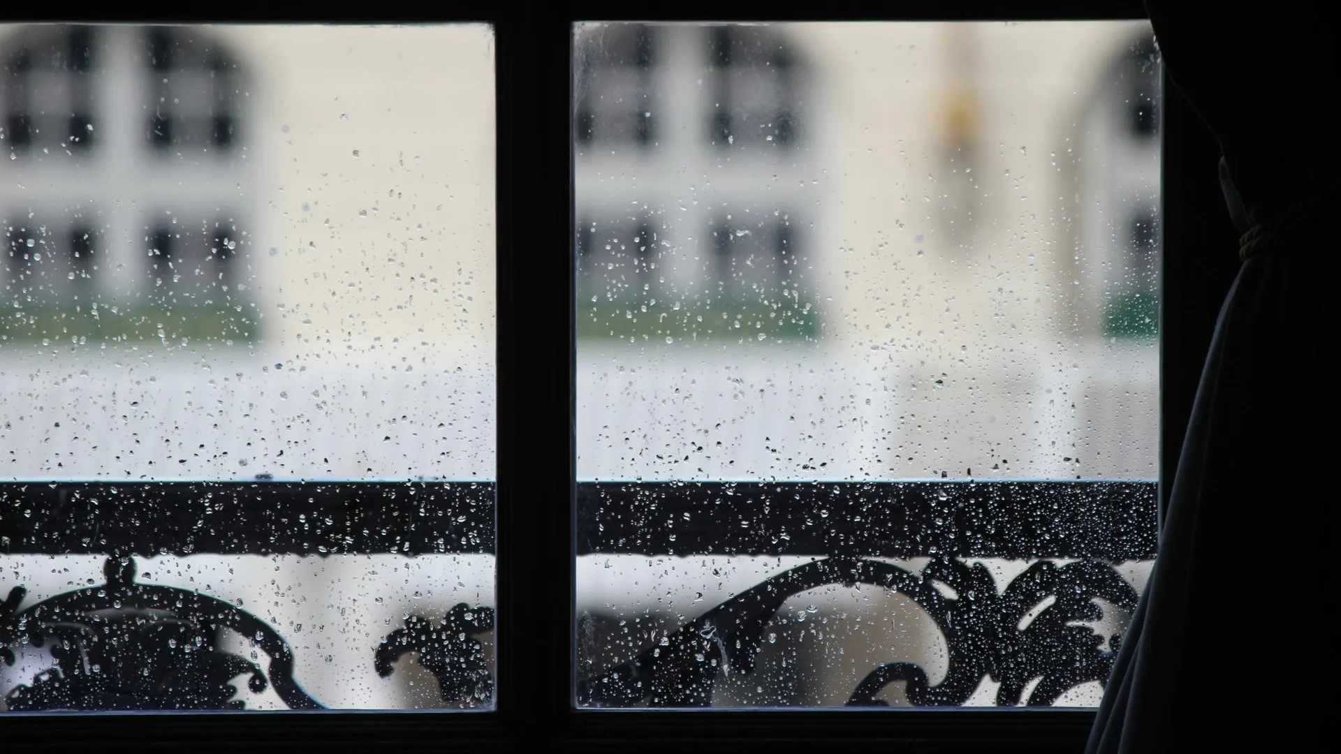 Фото: unsplash.com