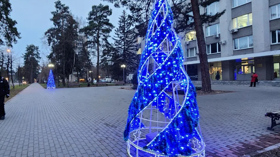 Фото: Министерство благоустройства МО
