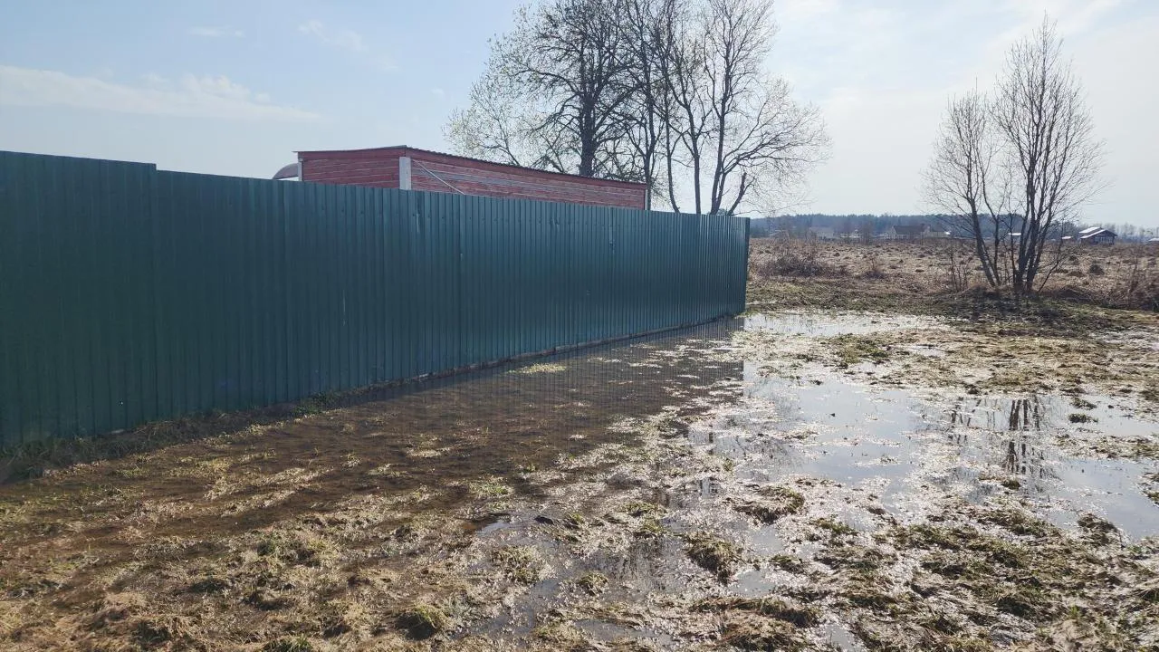 МедиаБанк Подмосковья/Дмитрий Беденко