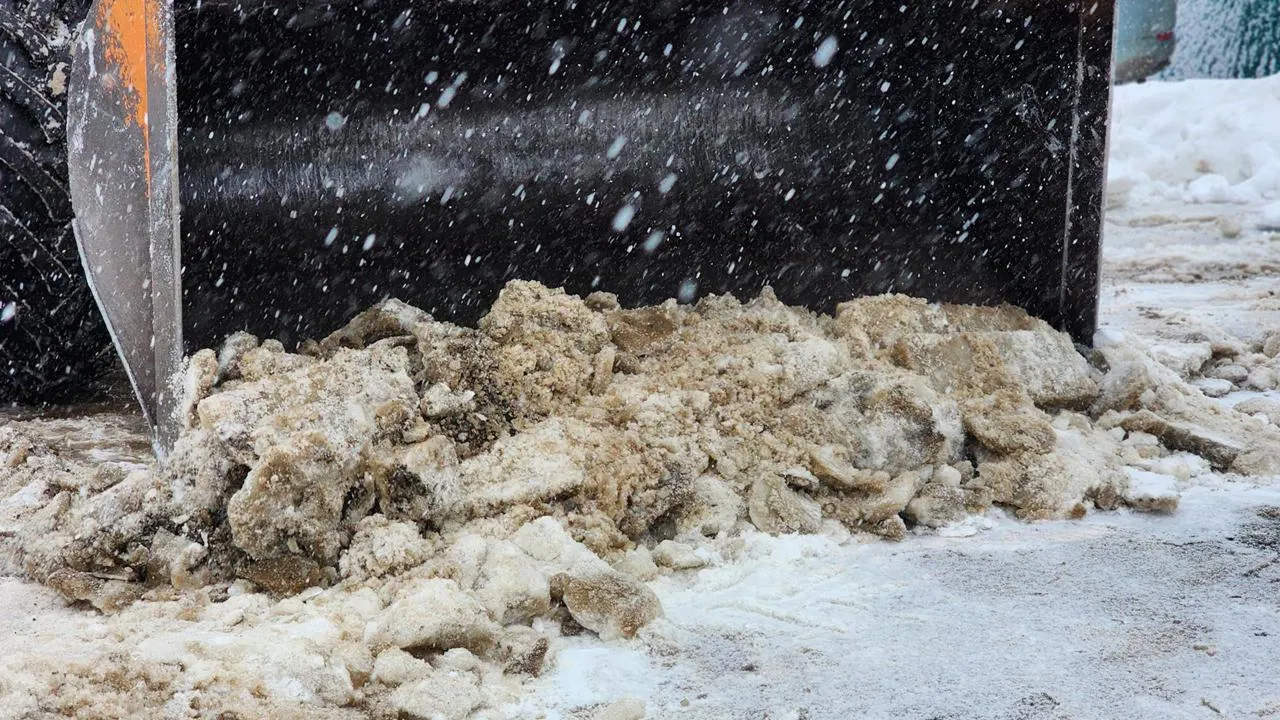 МедиаБанк Подмосковья/Екатерина Данилина