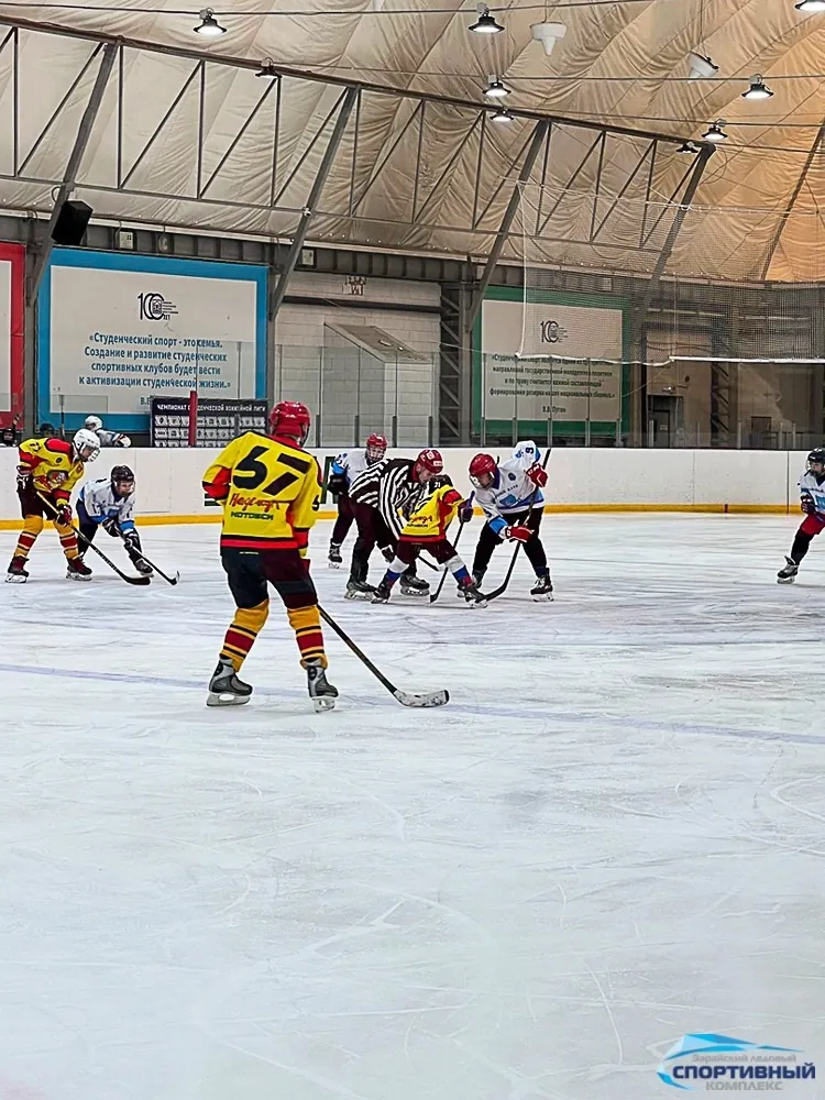 Фото: Зарайский ледовый спортивный комплекс.