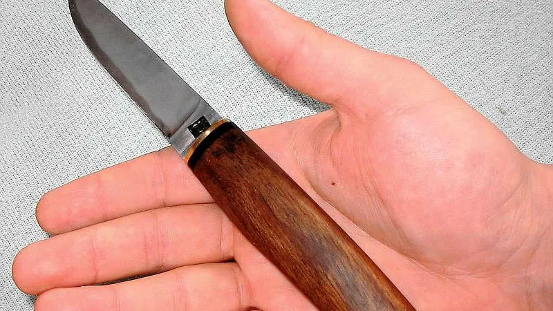 Житель Домодедова во время ссоры зарезал собственную мать