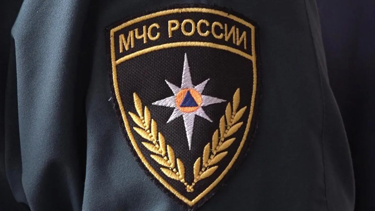 МедиаБанк Подмосковья/Наталия Надточая