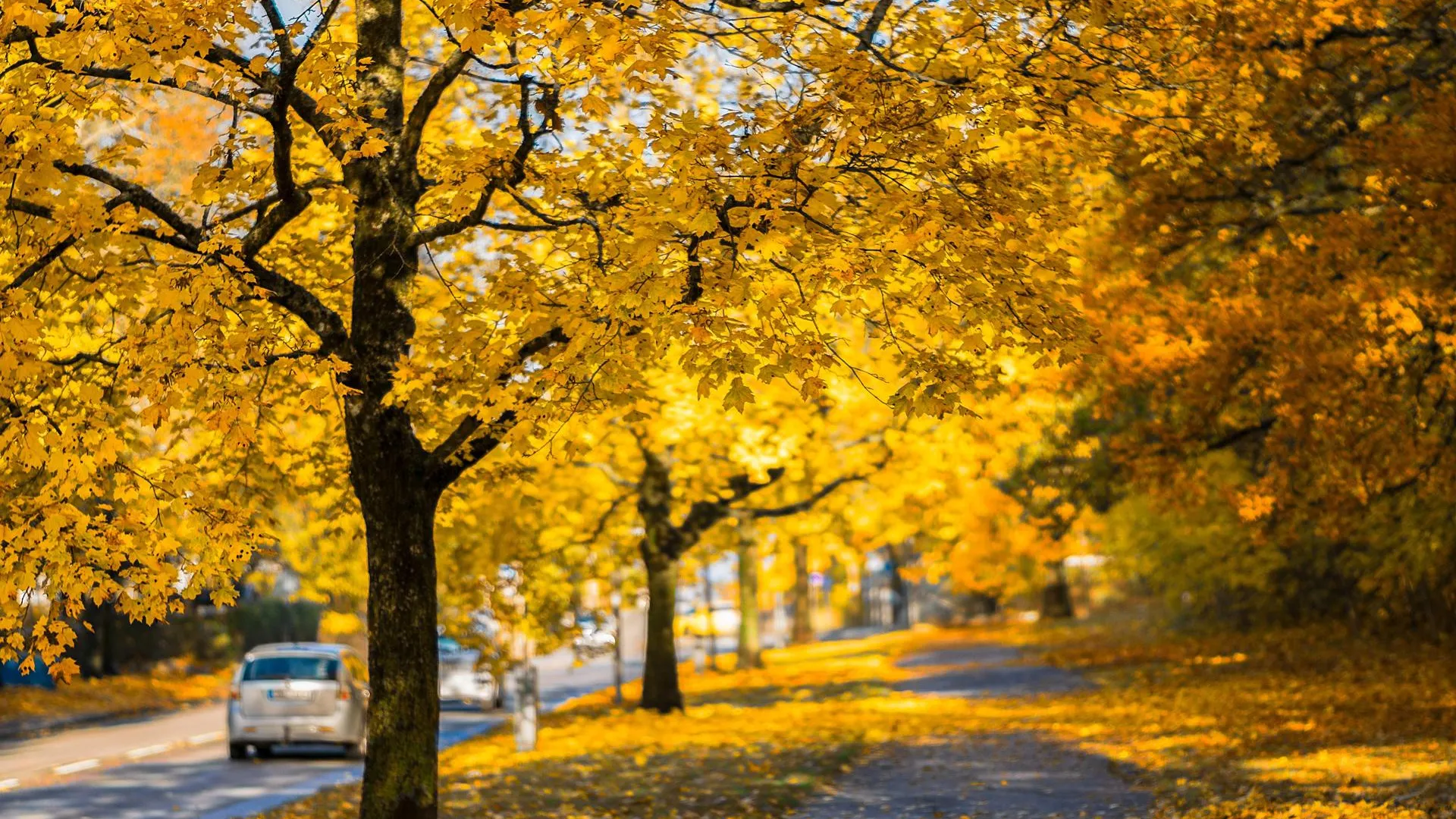 Фото: pxhere.com