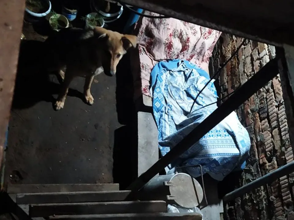 ГКУ МО «Мособлпожспас»