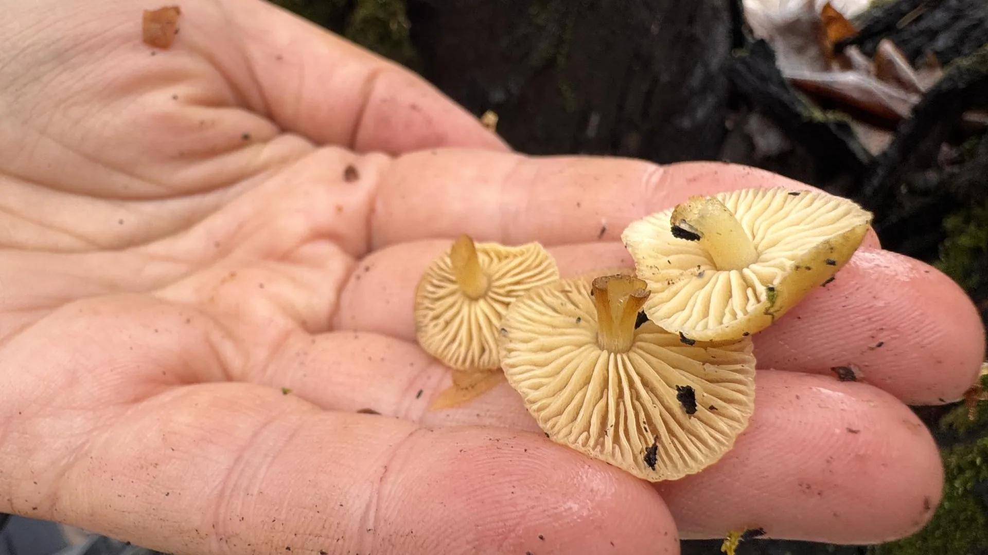 МедиаБанк Подмосковья/Мария Шматкова