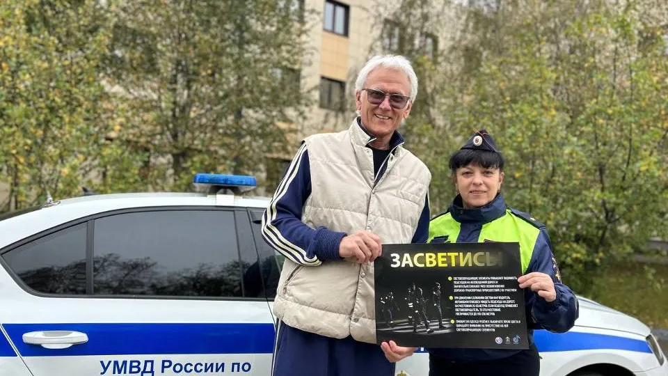 Фото: Госавтоинспекция Московской области