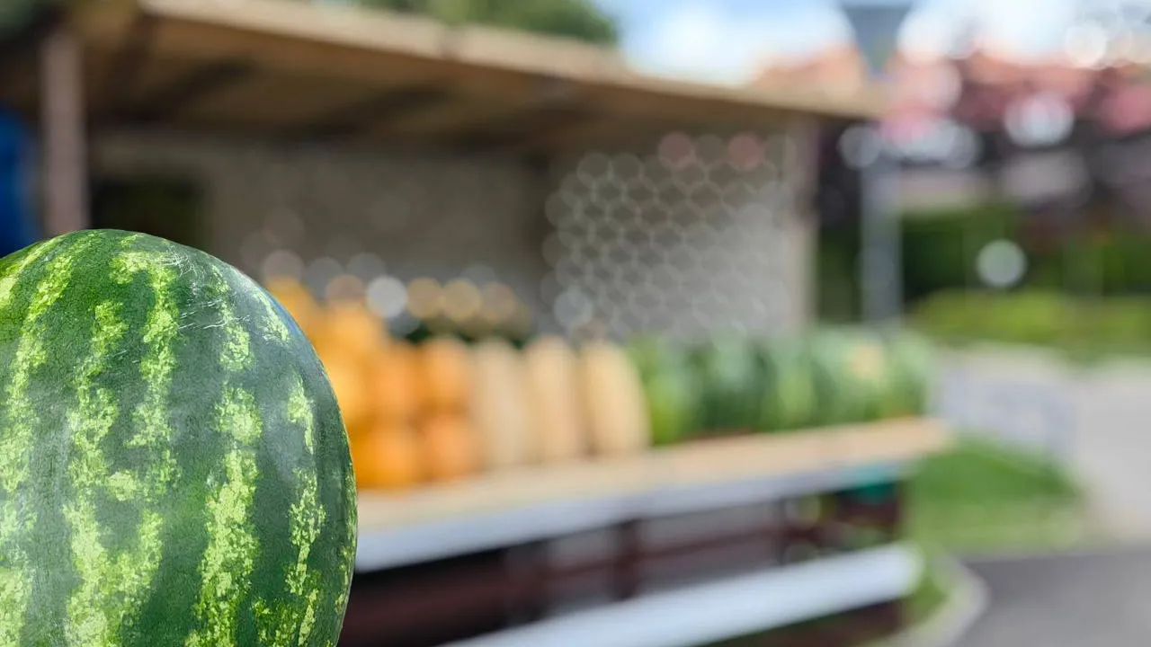 Фото: Министерство сельского хозяйства и продовольствия Московской области