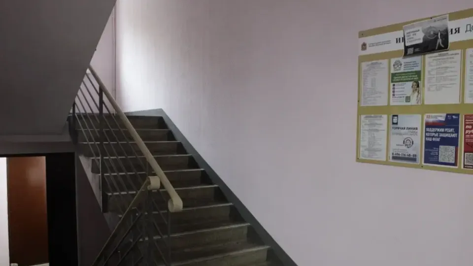 Фото: пресс-служба администрации Богородского городского округа