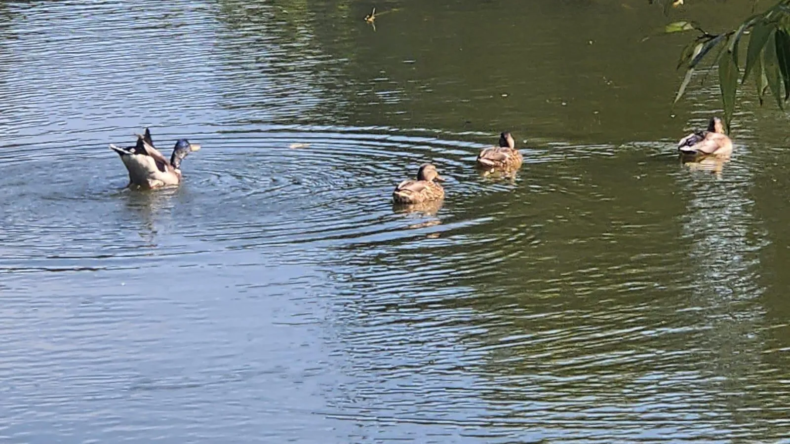 Фото: Администрация городского округа Люберцы
