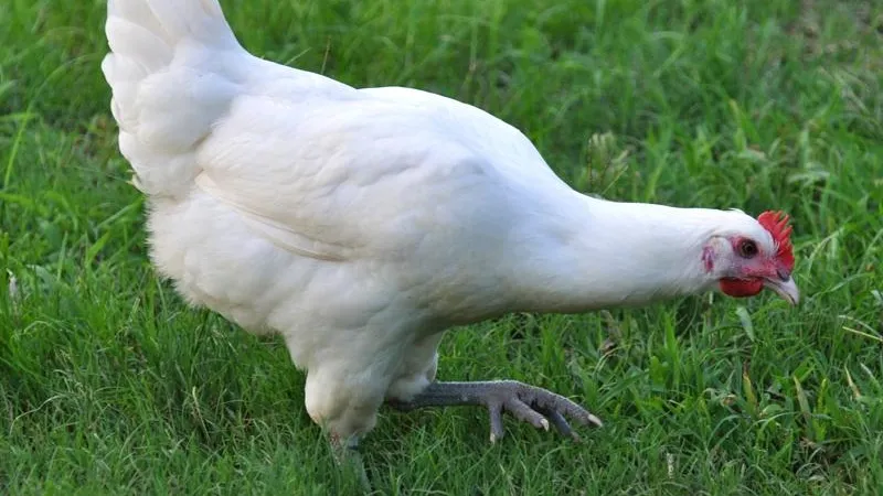 Фото: пресс-служба Администрации г.о. Волоколамск