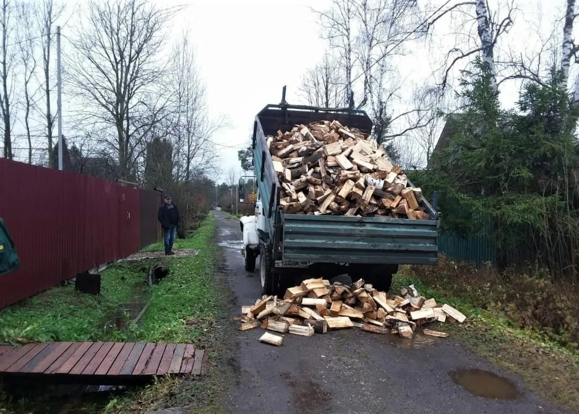 Фото: Комитет лесного хозяйства Московской области