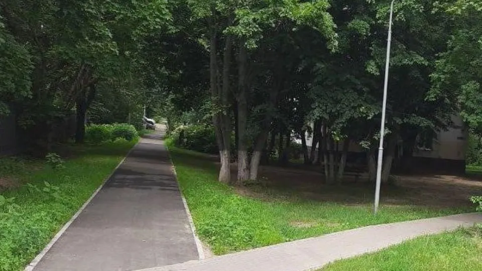 Фото: пресс-служба администрации г.о. Балашиха