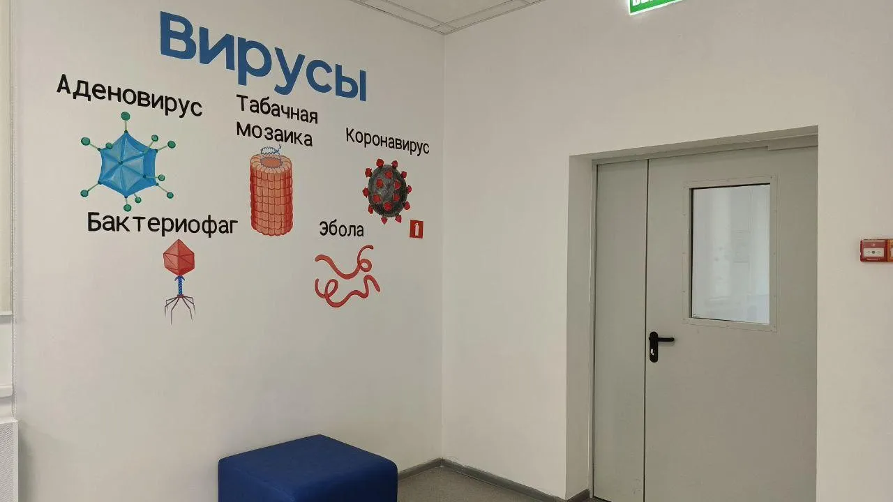 Фото: пресс-служба администрации городского округа Шатура