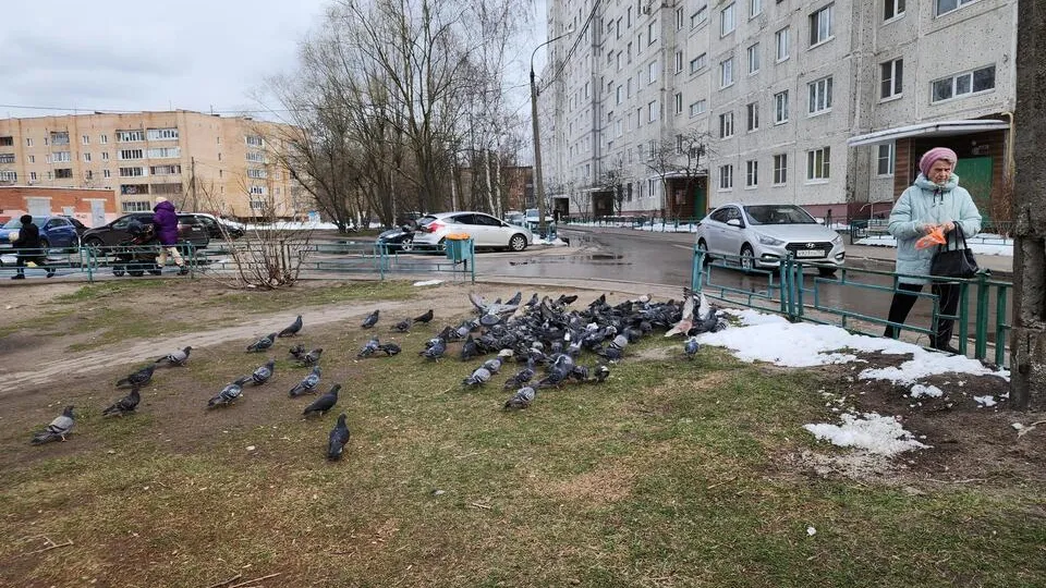 Фото: Ольга Сычева