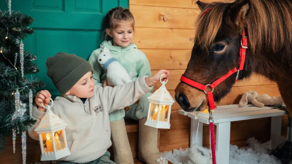 Фото: Ирина Шарова