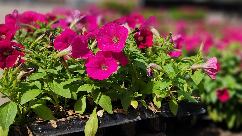 Фото: Валентина Максимова