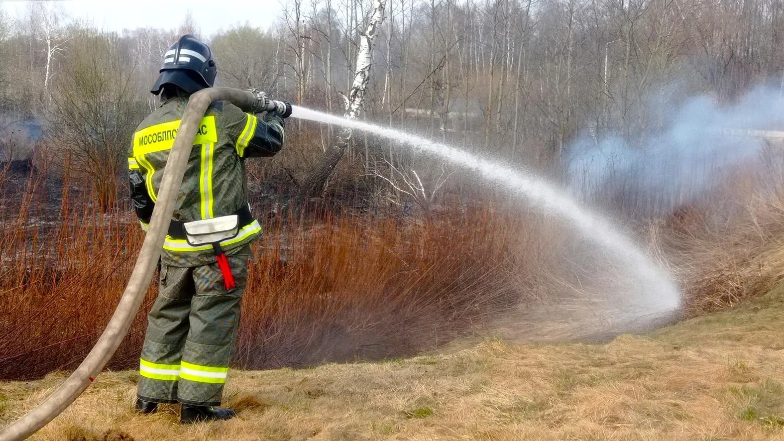 ГКУ МО «Мособлпожспас»
