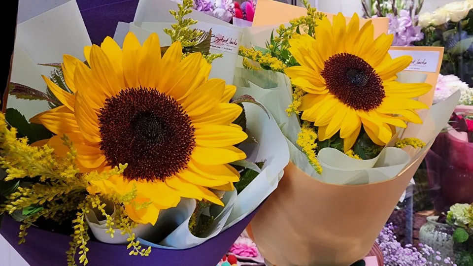 Фото: МедиаБанк Подмосковья/Валерия Тингаева