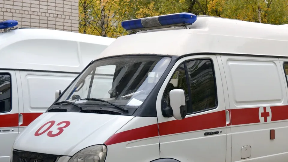 Фото: pxhere.com