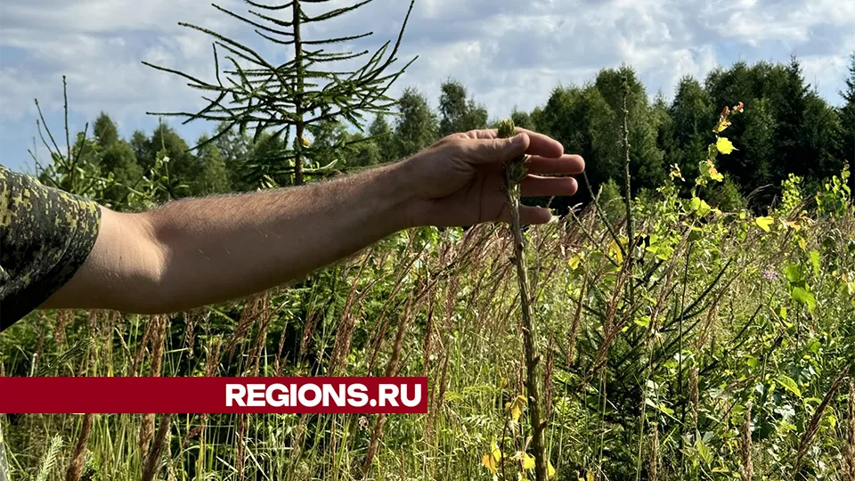 Фото: Татьяна Рунова