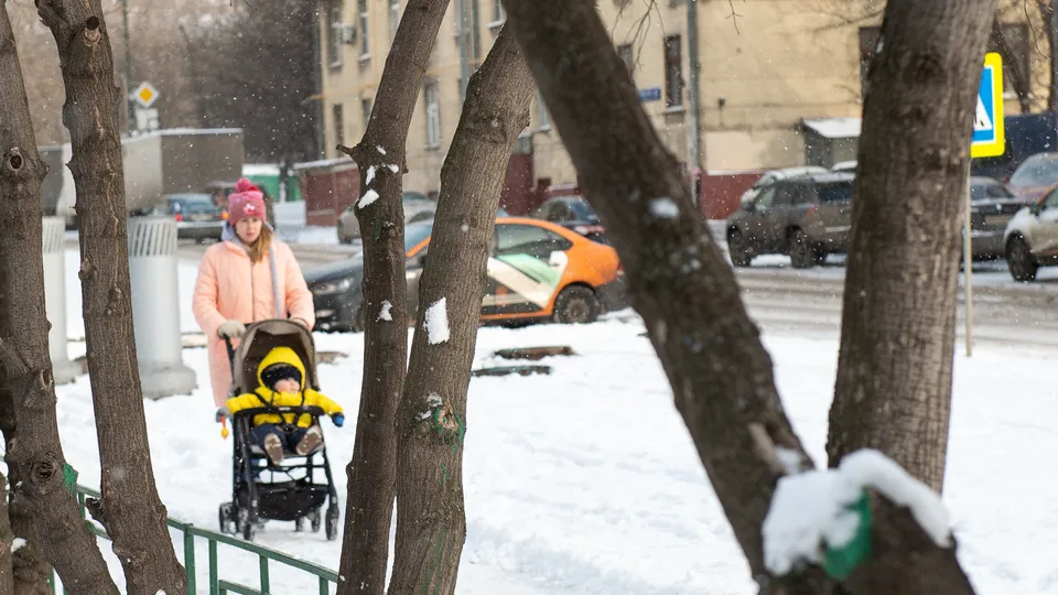 Фото: медиасток.рф