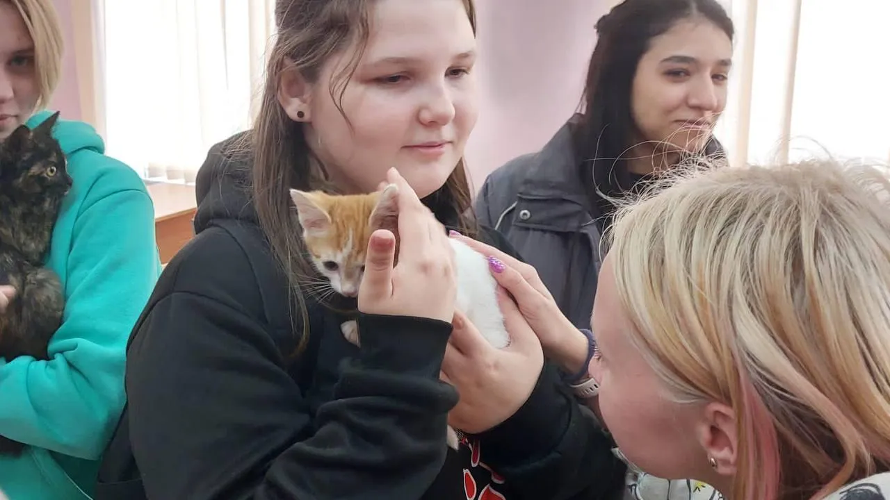 Министерство образования Московской области