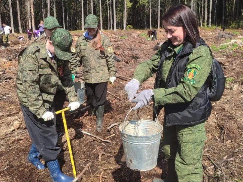Фото: Комитет лесного хозяйства МО