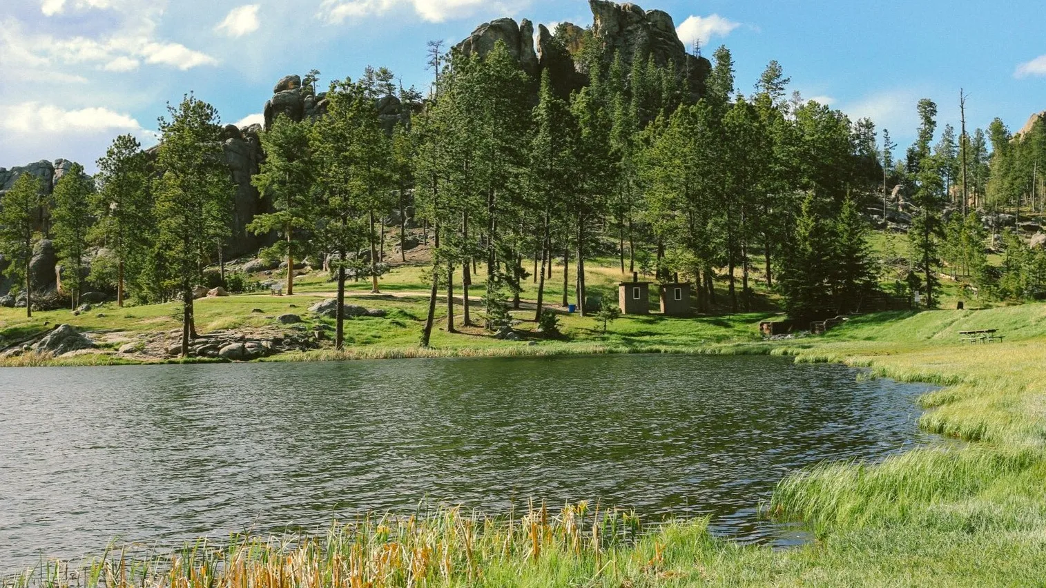 Фото: freepik.com