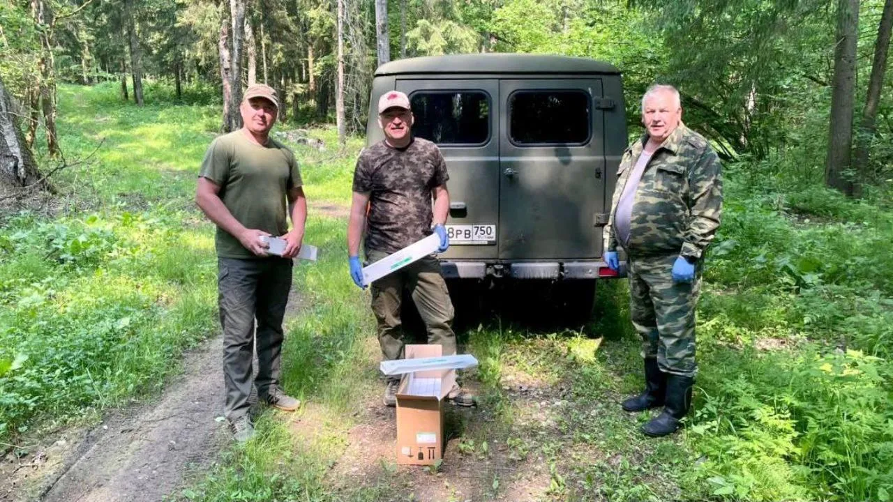 В Сергиевом Посаде разложили более 1,6 тыс. брикетов вакцины от бешенства