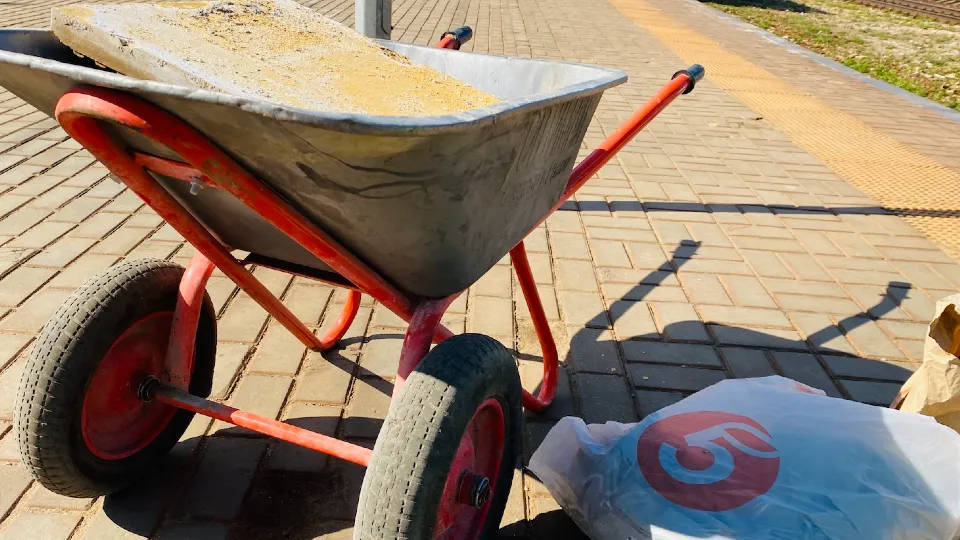 Фото: МедиаБанк Подмосковья/Людмила Михалева