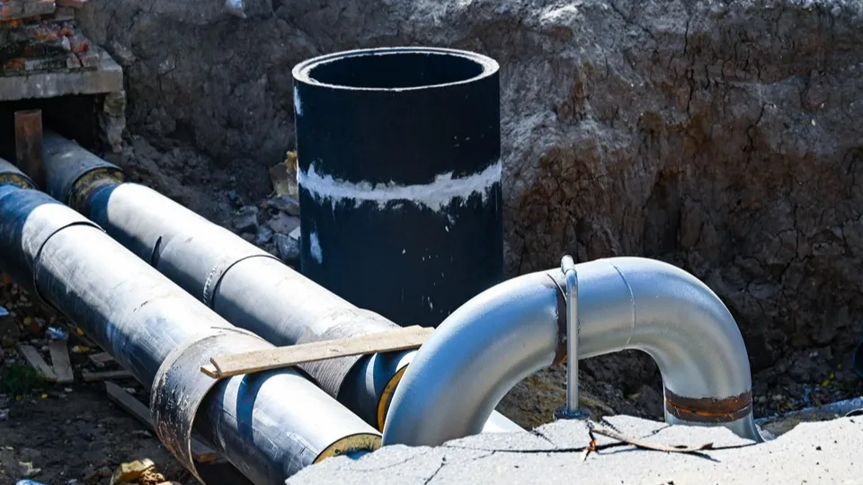 Фото: пресс-служба администрации Ленинского г.о.