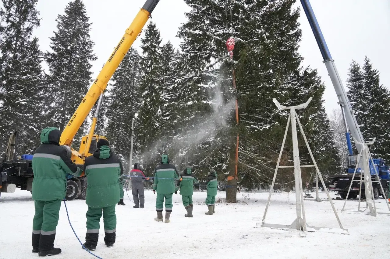 Автор фото: Дмитрий Белицкий